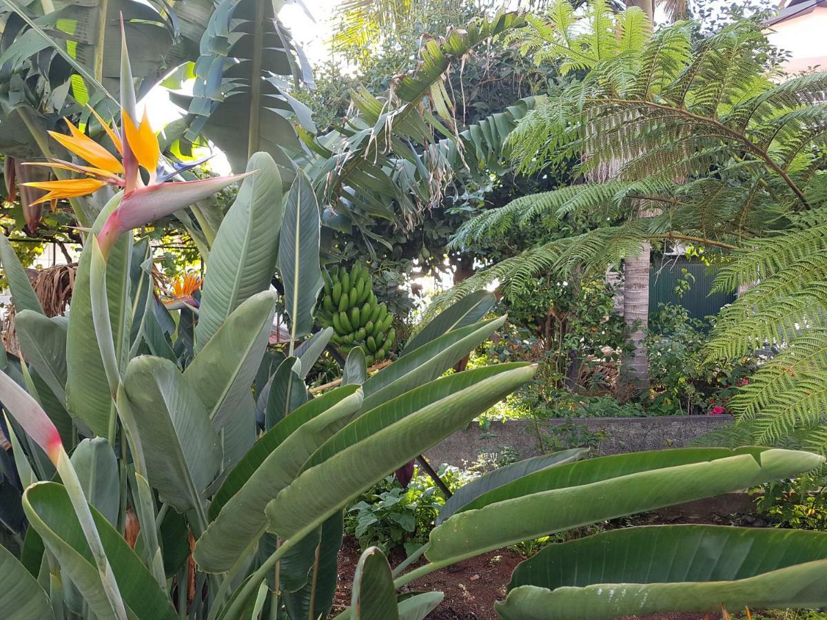 City View Gardens I Фуншал Екстер'єр фото